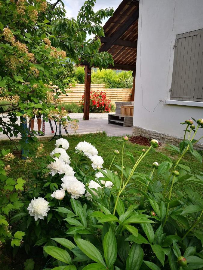 Maison 3 Etoiles Avec Jardin Pour Familles, Sportifs, Curistes... 迪涅莱班 外观 照片